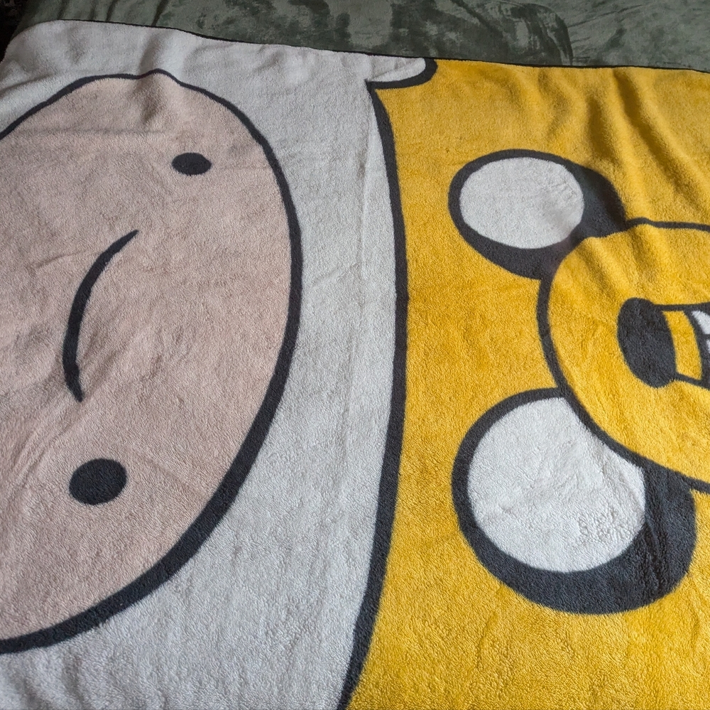 Adventure time blanket